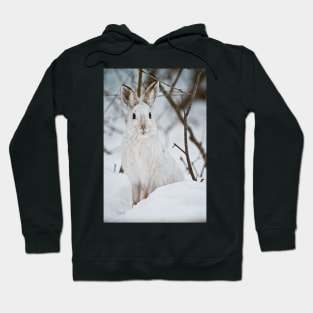 Show Shoe Hare Hoodie